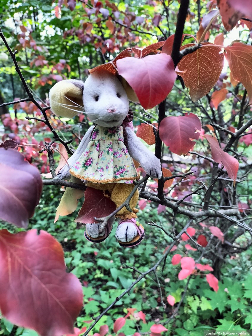 Маленькая Джуди на отдыхе (фото 10)