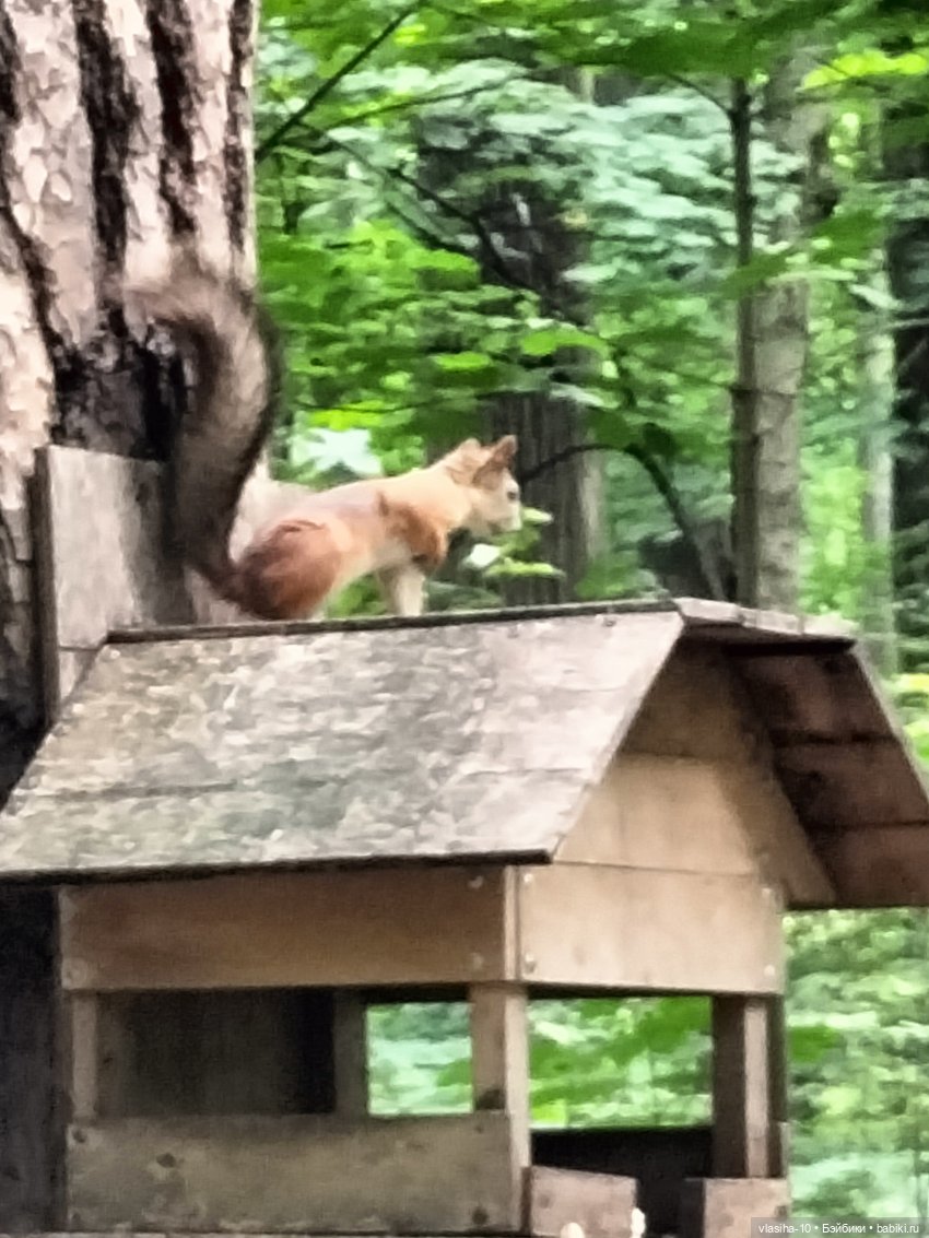 Маленькая Джуди на отдыхе