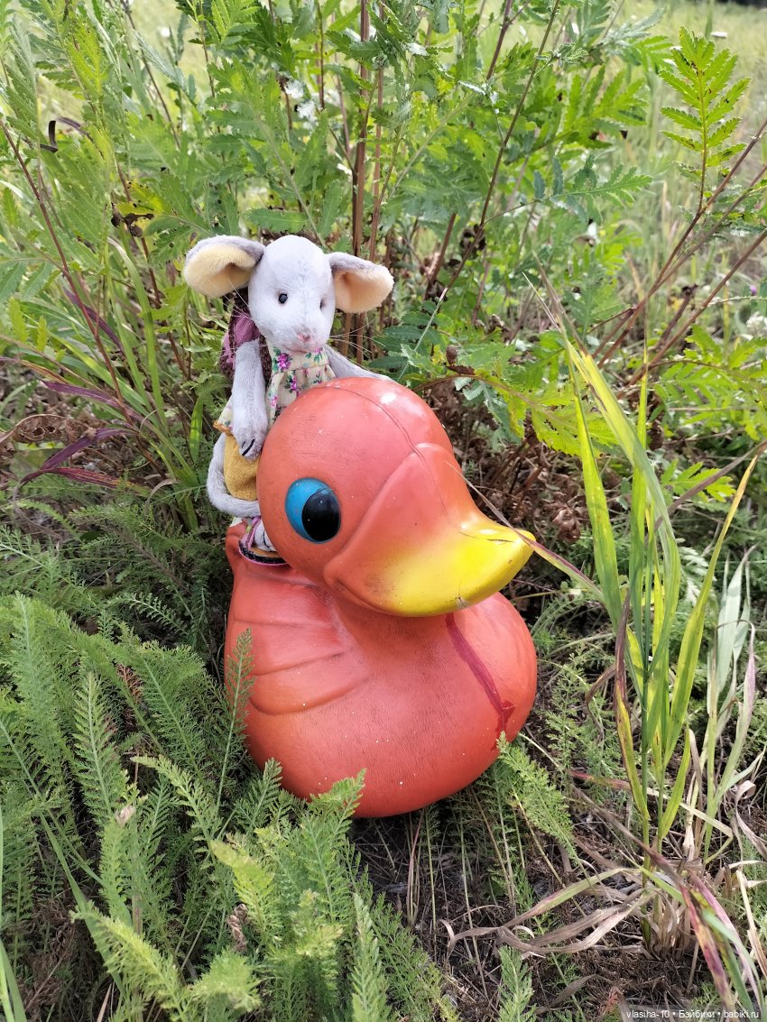 Маленькая Джуди на отдыхе