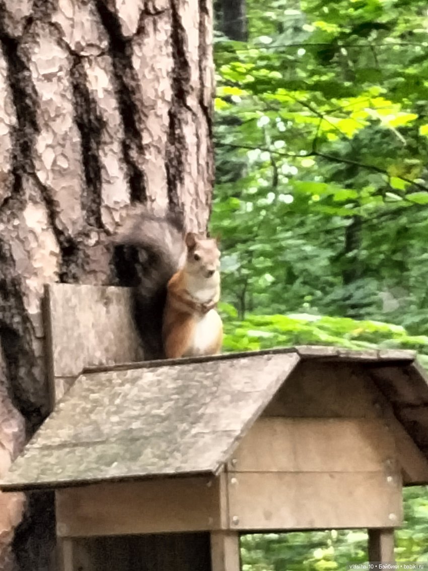 Маленькая Джуди на отдыхе
