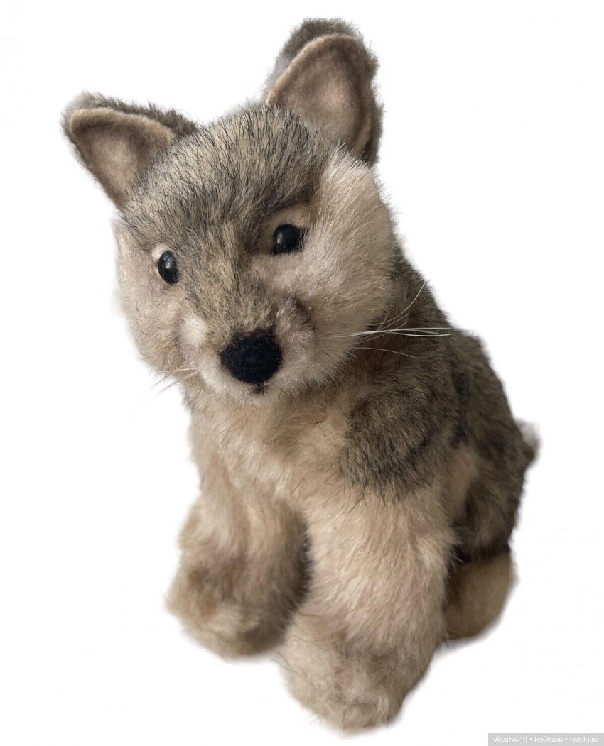 Hansa - Создать образ природы