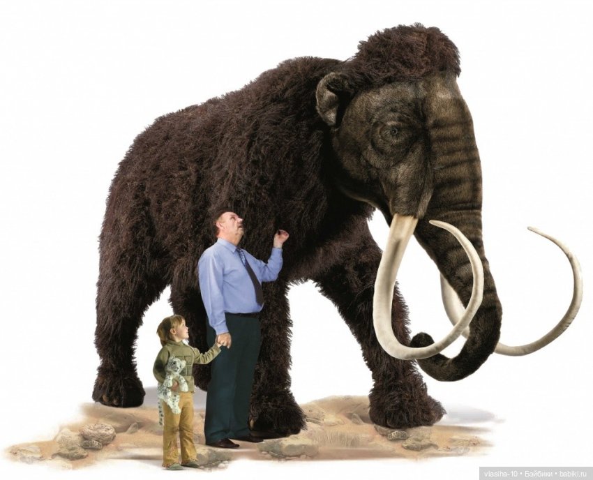 Hansa - Создать образ природы (фото 5)