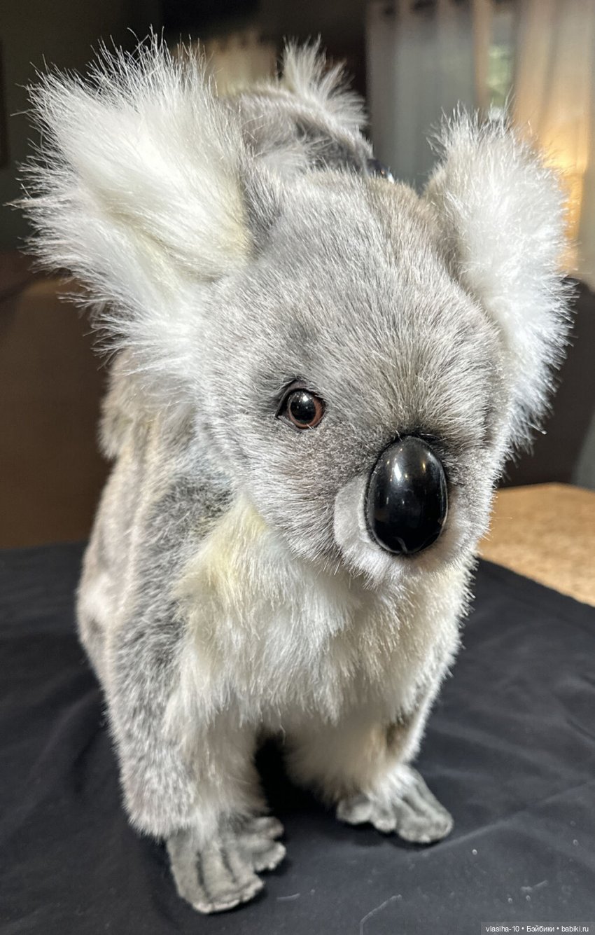 Hansa - Создать образ природы