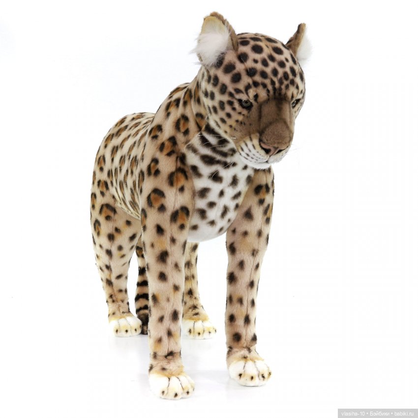 Hansa - Создать образ природы