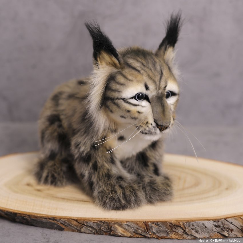 Hansa - Создать образ природы