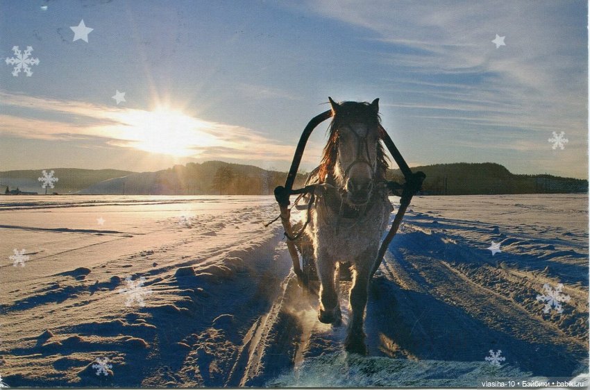 Сказка братьев Моримура — Редкие антикварные куклы и реплики: воск (фото 8)