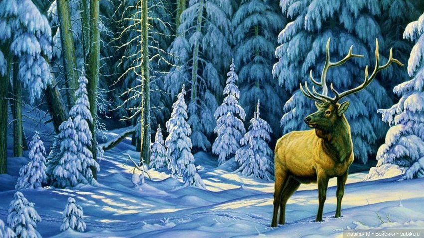 Сказка братьев Моримура — Редкие антикварные куклы и реплики: воск