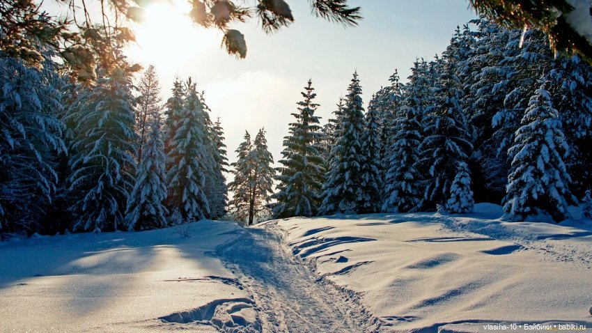 Сказка братьев Моримура — Редкие антикварные куклы и реплики: воск (фото 9)