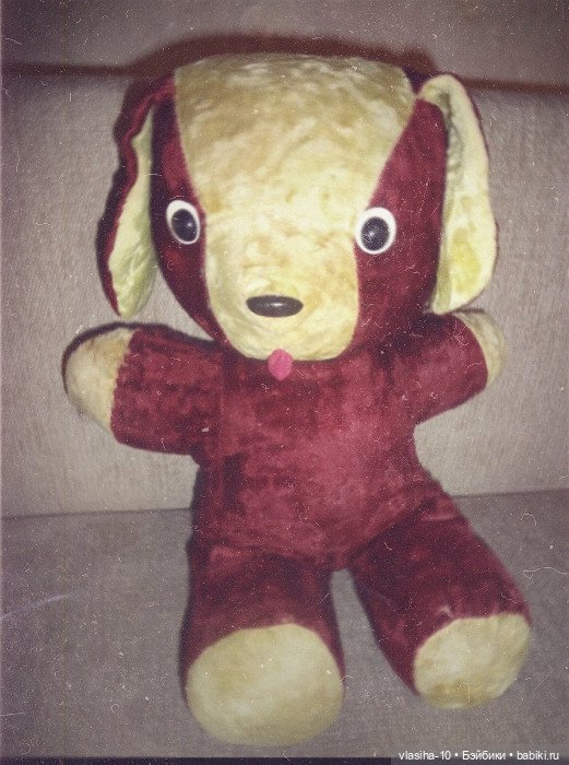 Солнечный щенок Гомельской фабрики и нашествие желто-рыжих собак