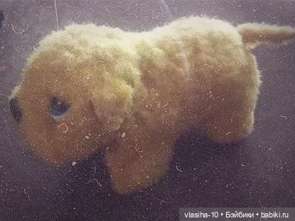 Солнечный щенок Гомельской фабрики и нашествие желто-рыжих собак