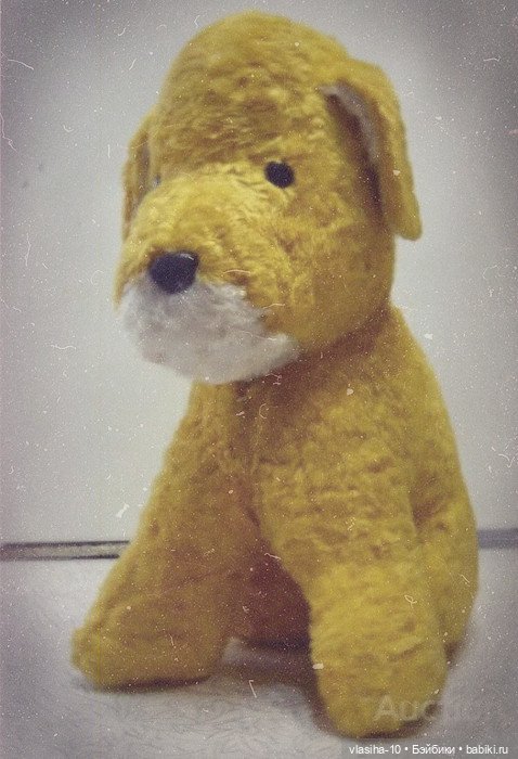 Солнечный щенок Гомельской фабрики и нашествие желто-рыжих собак