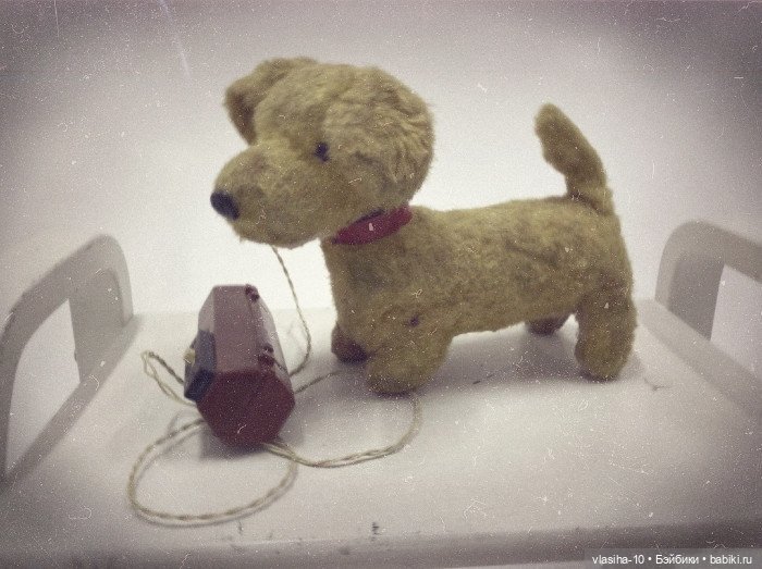 Солнечный щенок Гомельской фабрики и нашествие желто-рыжих собак