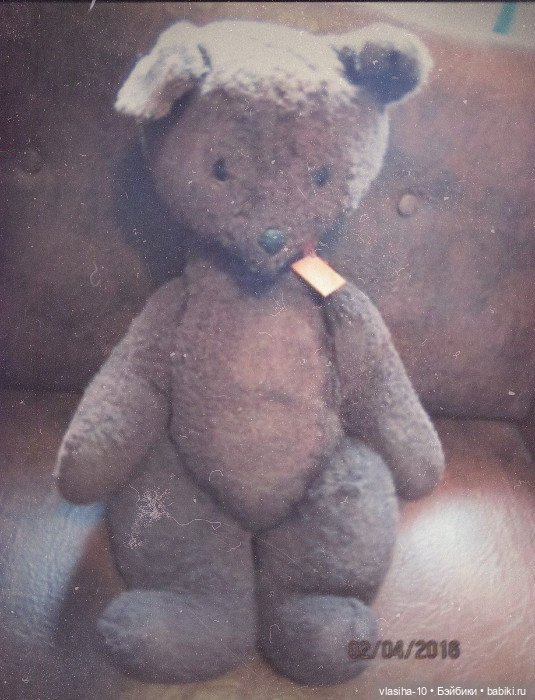 Солнечный щенок Гомельской фабрики и нашествие желто-рыжих собак (фото 6)