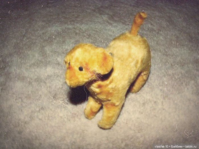 Солнечный щенок Гомельской фабрики и нашествие желто-рыжих собак