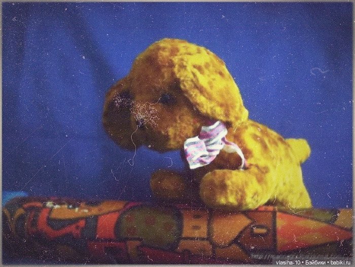 Солнечный щенок Гомельской фабрики и нашествие желто-рыжих собак