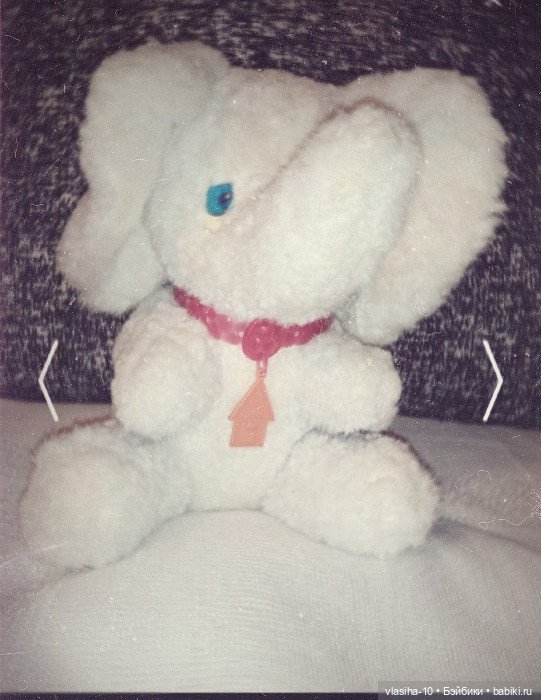 Солнечный щенок Гомельской фабрики и нашествие желто-рыжих собак (фото 10)