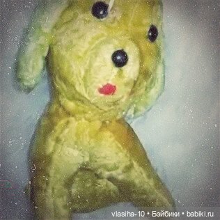 Солнечный щенок Гомельской фабрики и нашествие желто-рыжих собак