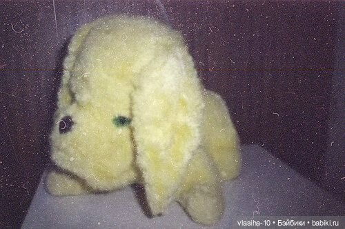 Солнечный щенок Гомельской фабрики и нашествие желто-рыжих собак