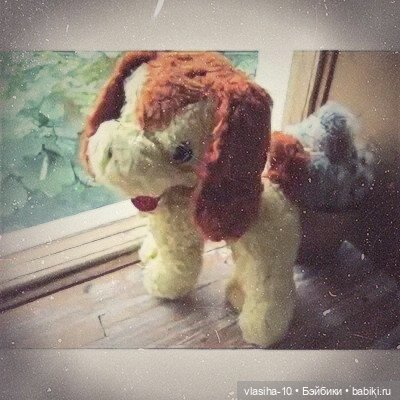 Солнечный щенок Гомельской фабрики и нашествие желто-рыжих собак