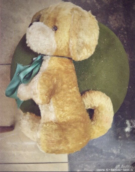 Солнечный щенок Гомельской фабрики и нашествие желто-рыжих собак