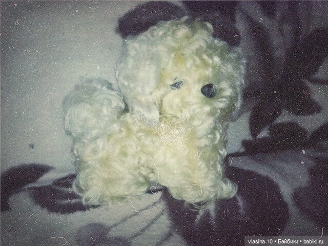 Солнечный щенок Гомельской фабрики и нашествие желто-рыжих собак