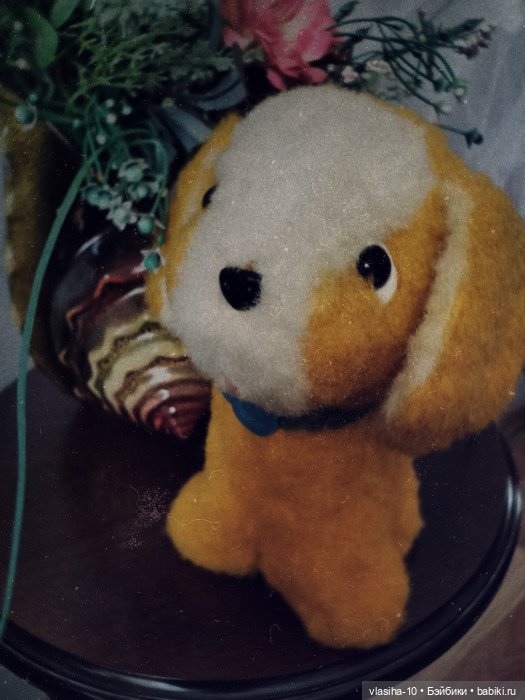 Солнечный щенок Гомельской фабрики и нашествие желто-рыжих собак (фото 2)