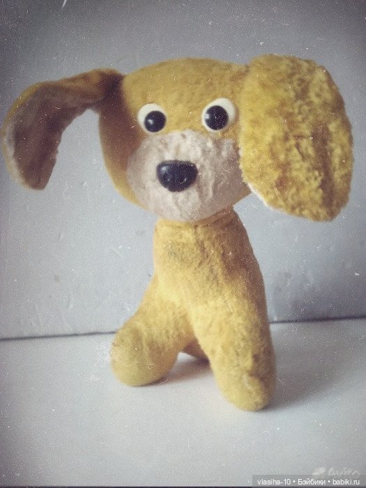 Солнечный щенок Гомельской фабрики и нашествие желто-рыжих собак