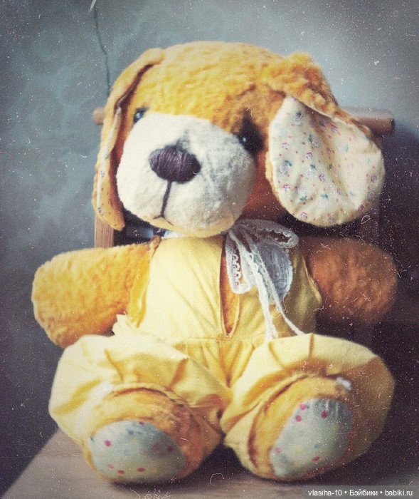 Солнечный щенок Гомельской фабрики и нашествие желто-рыжих собак