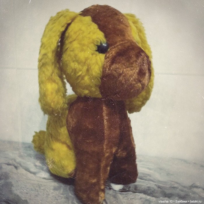 Солнечный щенок Гомельской фабрики и нашествие желто-рыжих собак