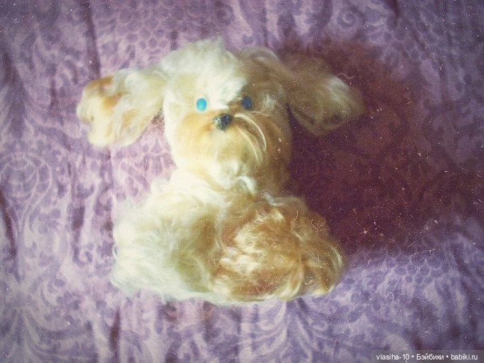 Солнечный щенок Гомельской фабрики и нашествие желто-рыжих собак