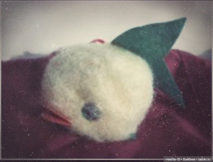 Солнечный щенок Гомельской фабрики и нашествие желто-рыжих собак (фото 8)