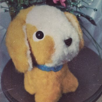 Солнечный щенок Гомельской фабрики и нашествие желто-рыжих собак