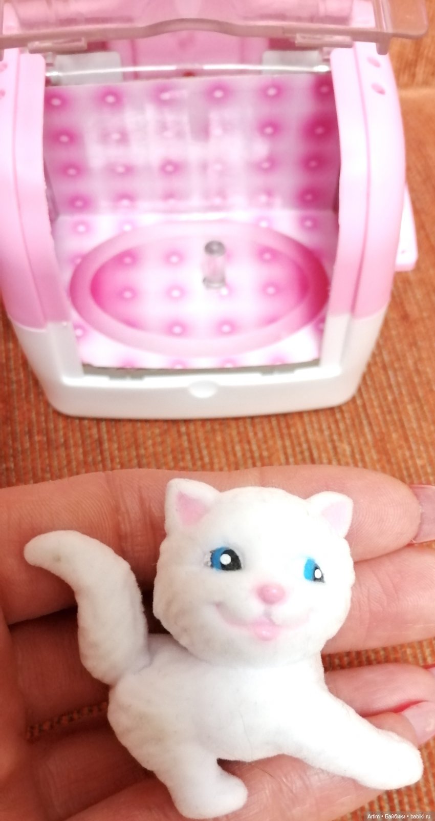 Нэнси Фамоса, путешественница, Россия, Москва