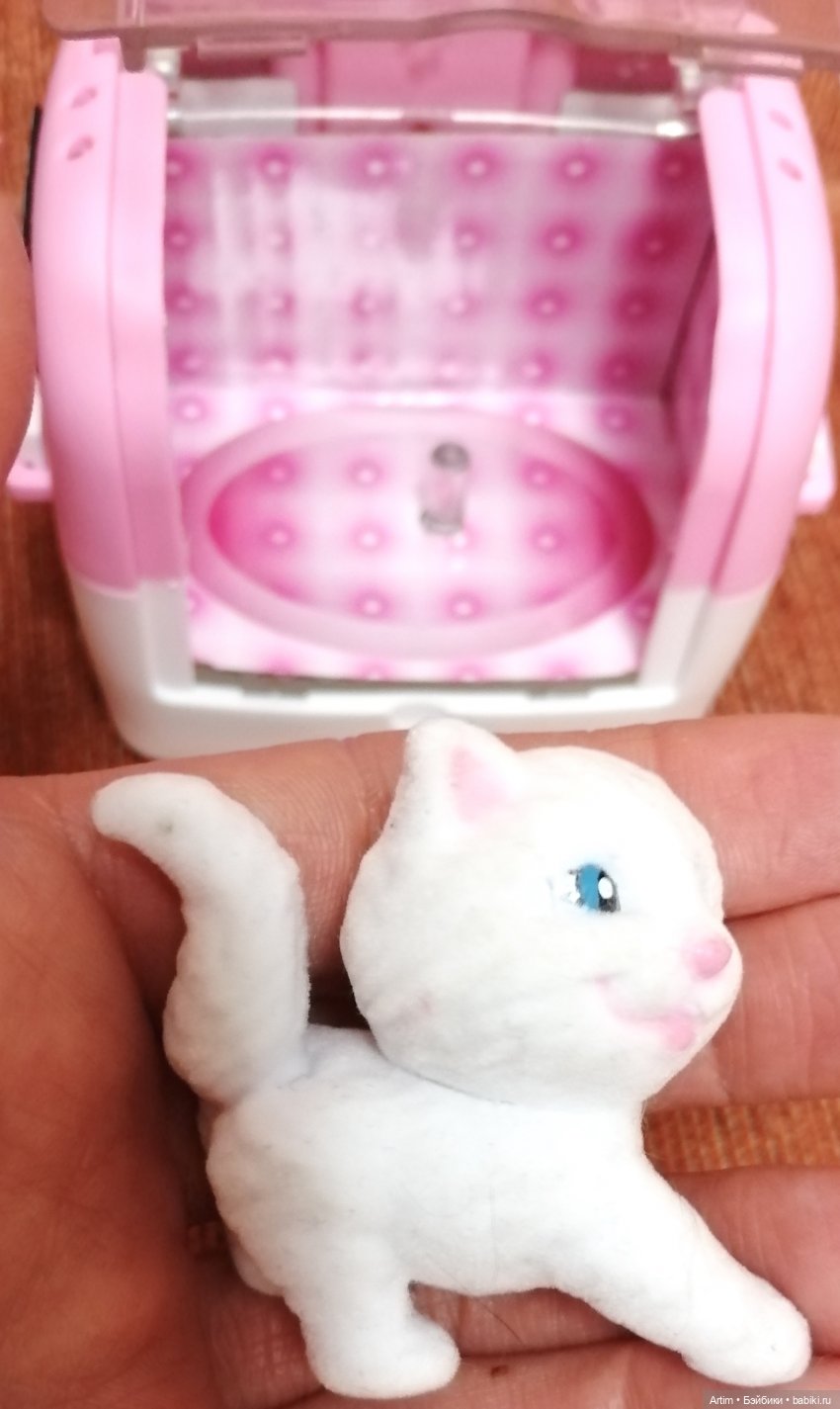 Нэнси Фамоса, путешественница, Россия, Москва