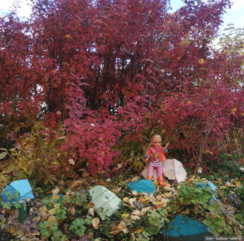 Нэнси Фамоса, золотая осень, поездка в ДД