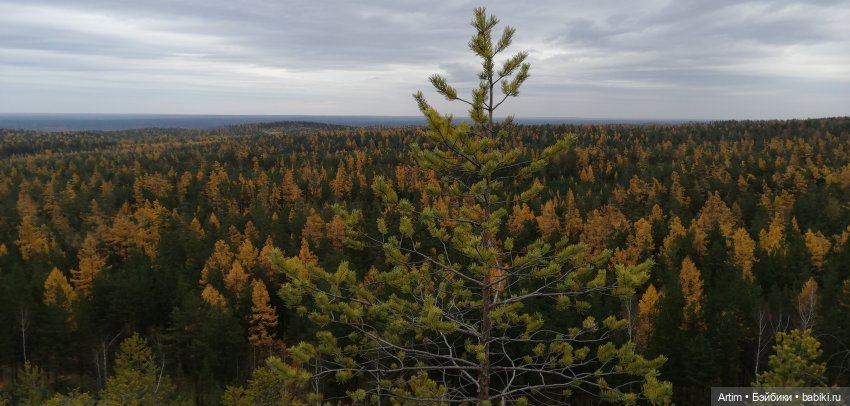 Нэнси и Лукас, Фамоса, Осеннее свидание