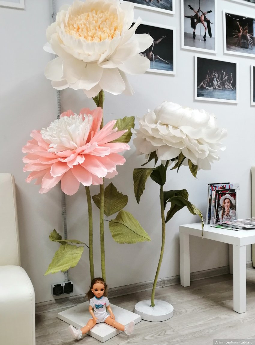 Нэнси Фамоса, необычный День рождения (фото 8)