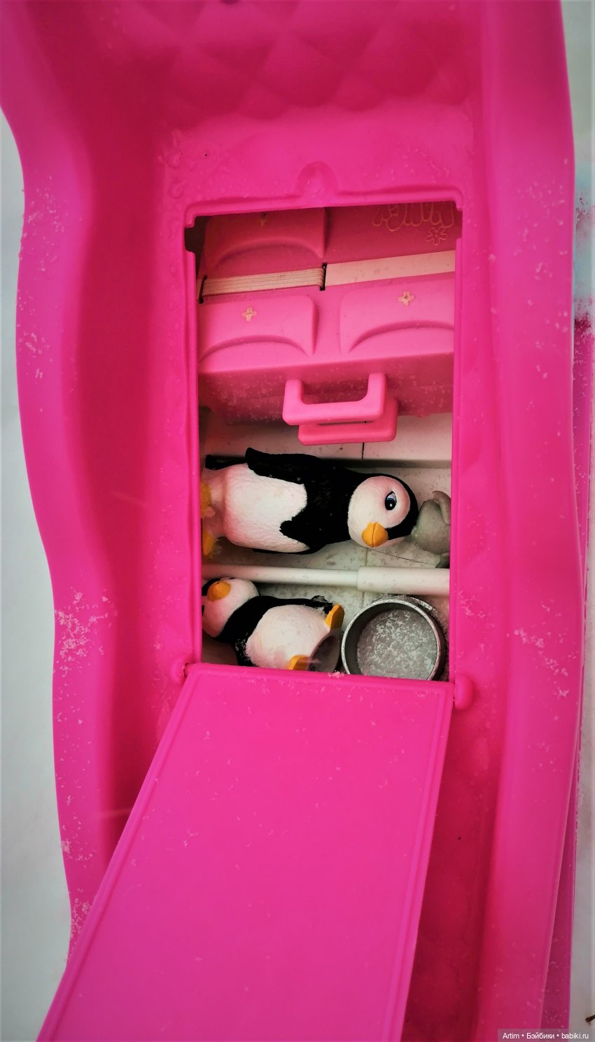 Нэнси Фамоса, Зимнее путешествие