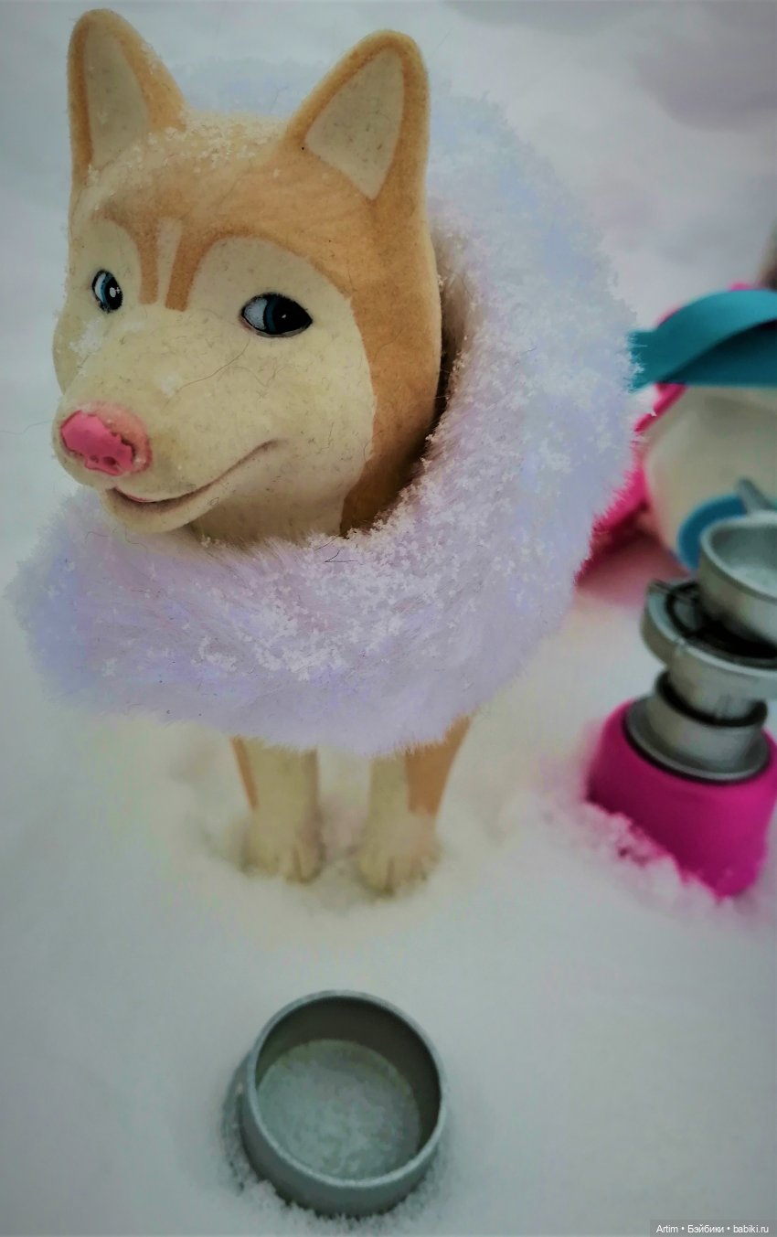 Нэнси Фамоса, Зимнее путешествие