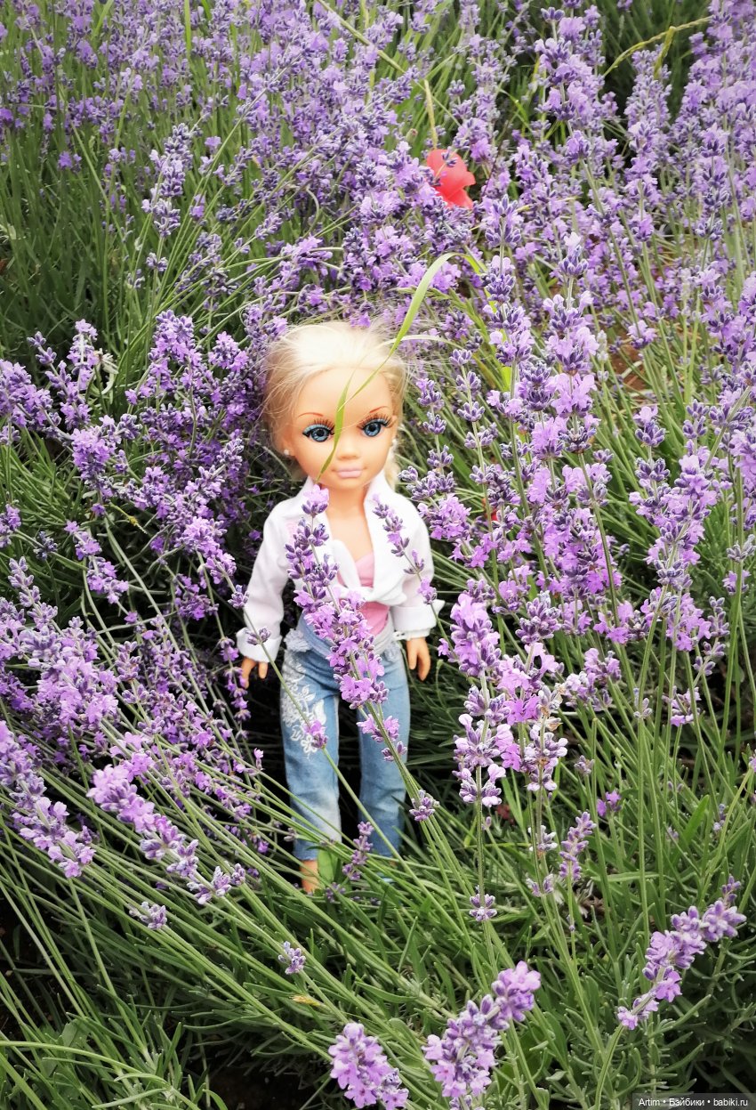 Нэнси Фамоса, поездка в Крым на свадьбу