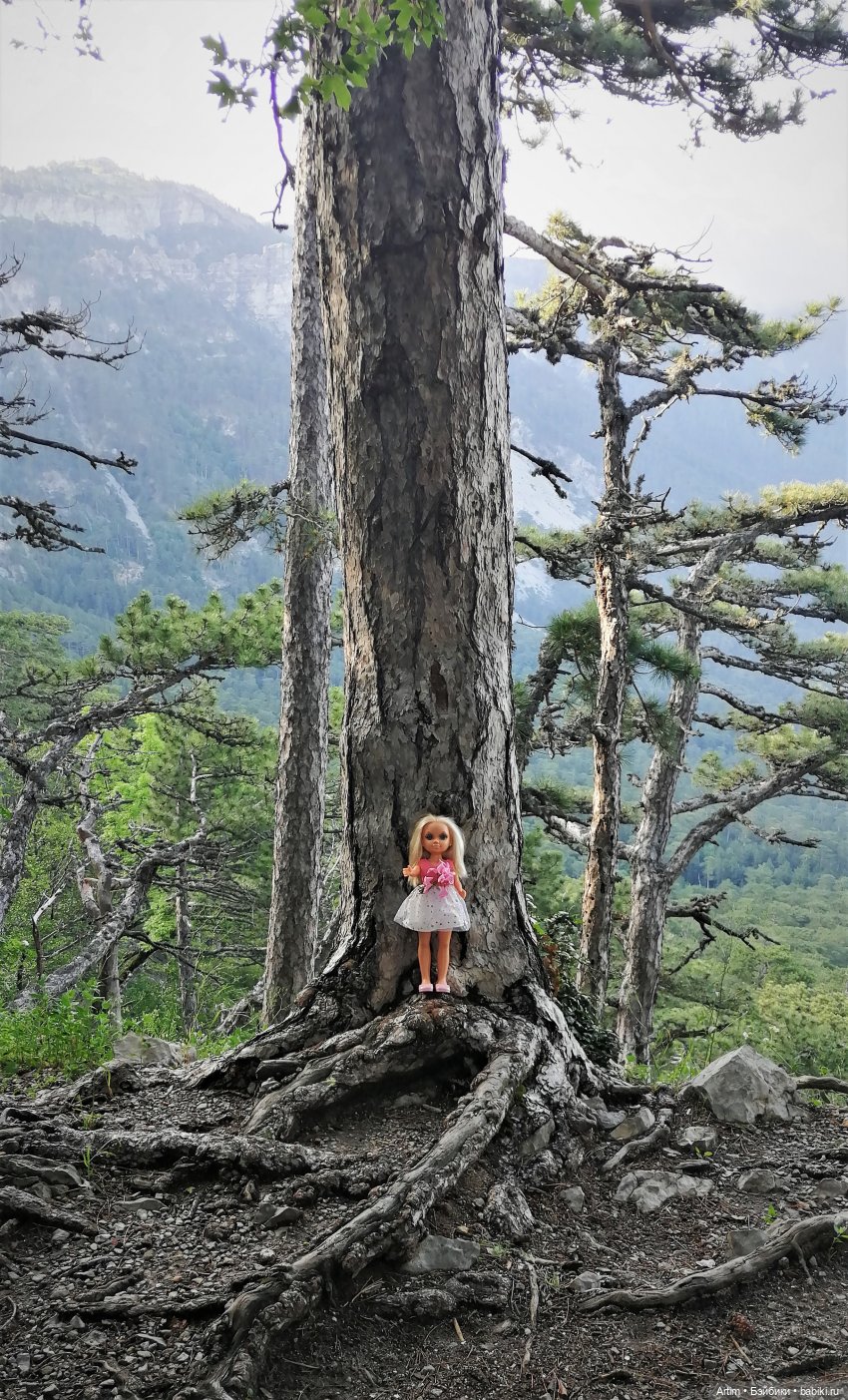 Нэнси Фамоса, поездка в Крым на свадьбу