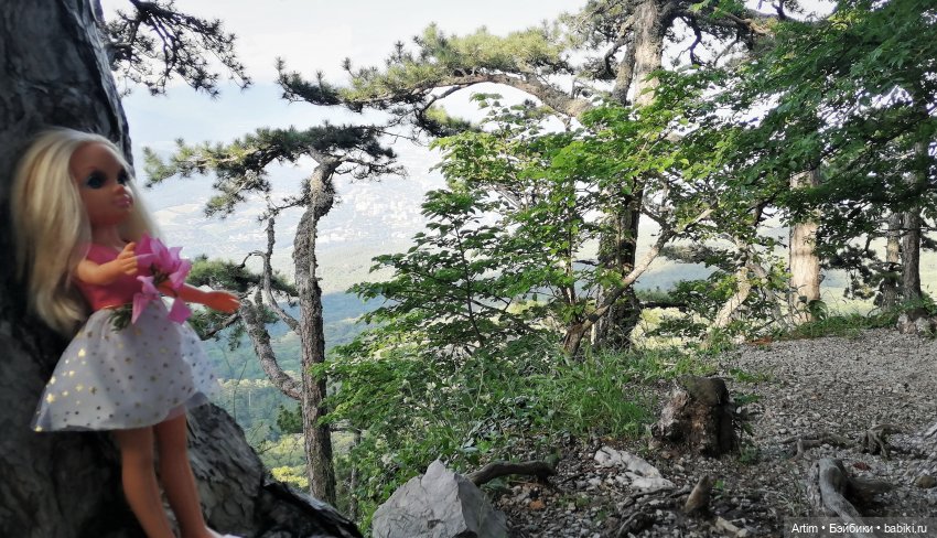 Нэнси Фамоса, поездка в Крым на свадьбу