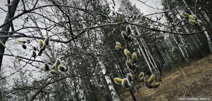 Нэнси Вербное воскресенье - прогулка на каменные палатки