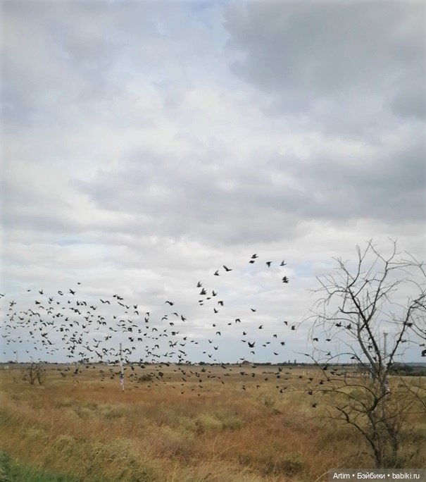Нэнси Фамоса, мини-путешествие выходного дня в Крыму (фото 3)