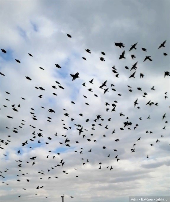 Нэнси Фамоса, мини-путешествие выходного дня в Крыму (фото 4)