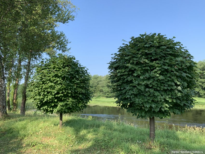 Куколки Келли. Mattel. На речке (фото 5)