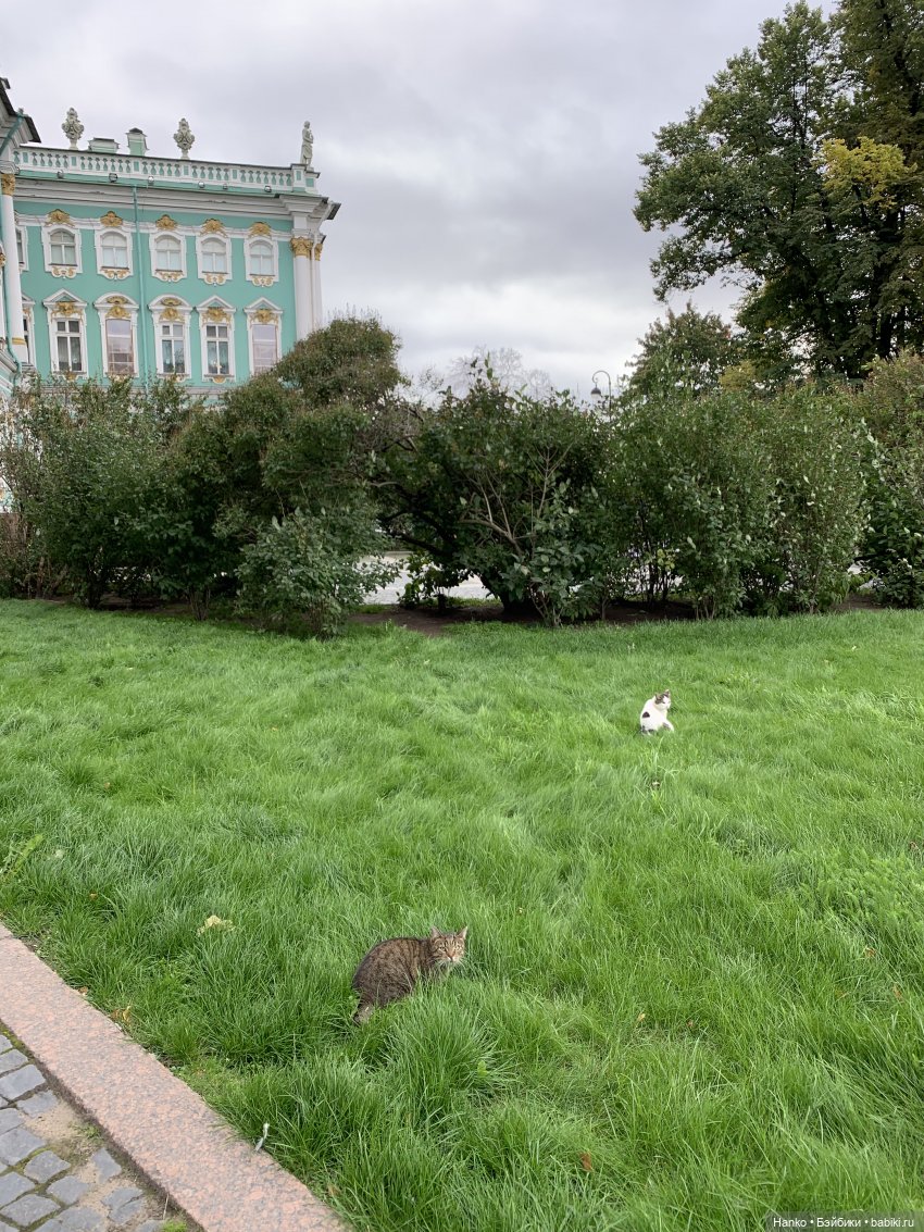 Путешественники — Куклы Kelly (Келли): Сестра Барби