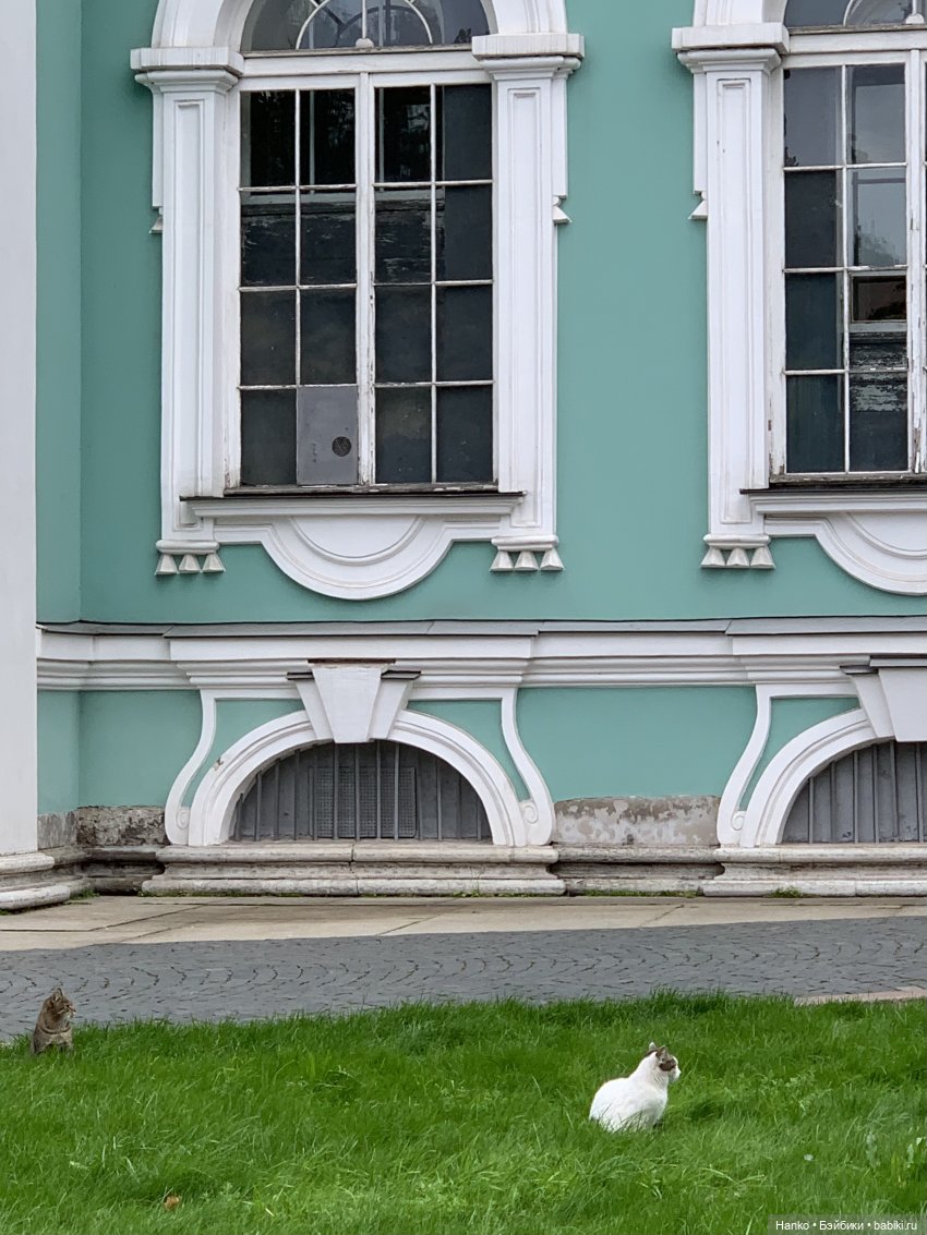 Путешественники — Куклы Kelly (Келли): Сестра Барби