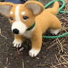 Выгуливаем корги