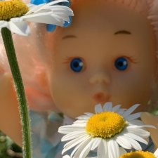 В первый день зимы фотографии солнечного лета.